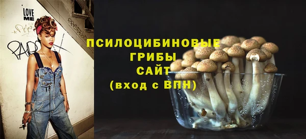 дурь Елабуга