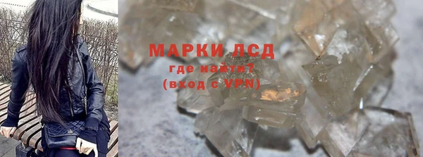 spice Елизово