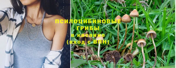 spice Елизово