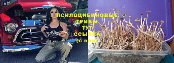гашишное масло Ельня