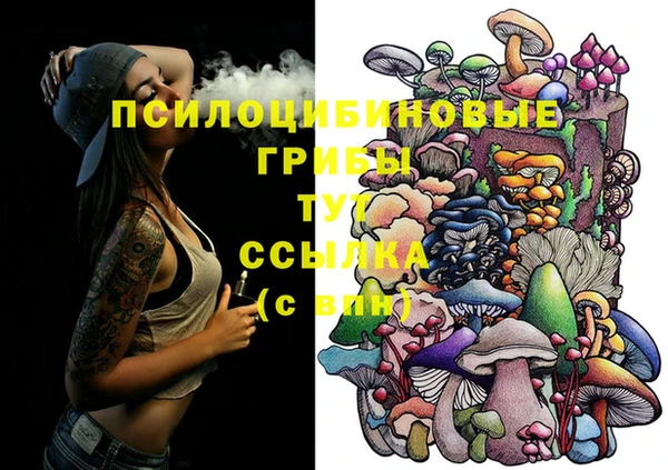 гашишное масло Ельня