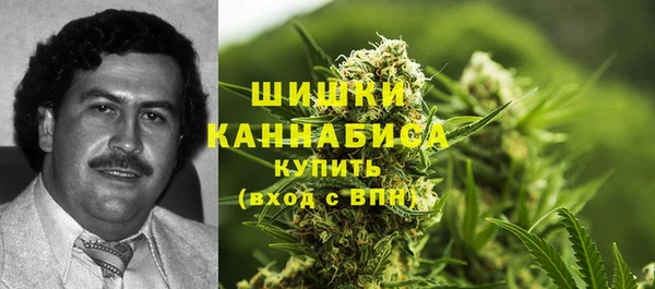 дурь Елабуга