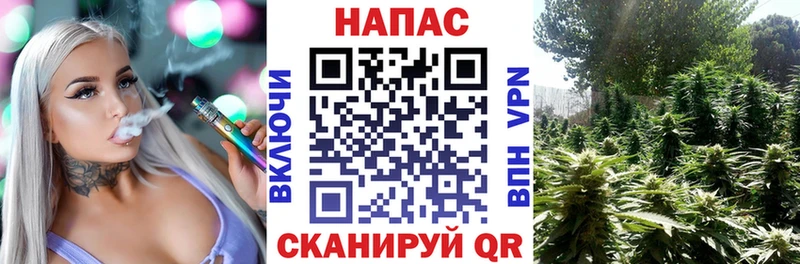 Марихуана SATIVA & INDICA  KRAKEN ONION  Октябрьск  сколько стоит 